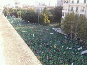 marea verda1