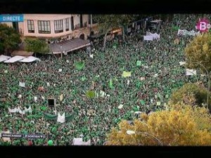 marea verda2
