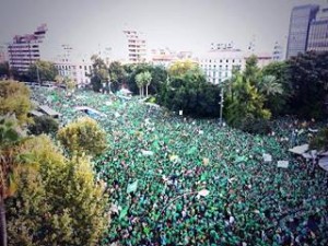 marea verda3